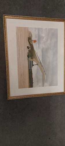 Signed concord print plus - concord,