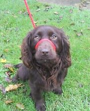 Anti-pull Figure of 8 Eight