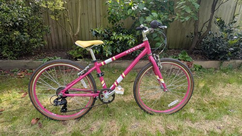 Raleigh pop inch - 24-inch, kids