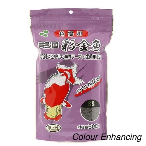 Azayaka goldfish ranchu colour - goldfish,