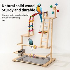 Bird Playground Parrot