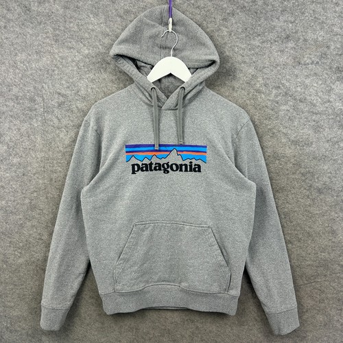 Patagonia hoodie mens - hoodie, medium