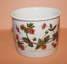 Portmeirion - Botanic Garden - Small Pot Plant Planter - Scarlet Pimpernel