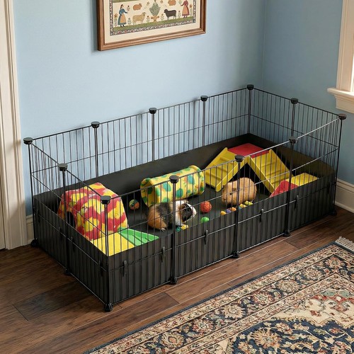 Oneluck guinea pig - oneluck, small