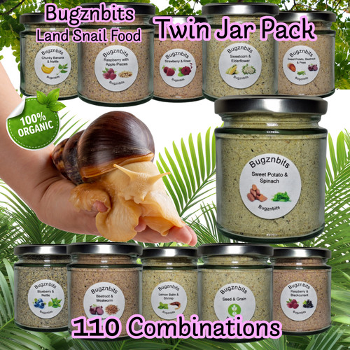 Bugznbits twin jar - , snail