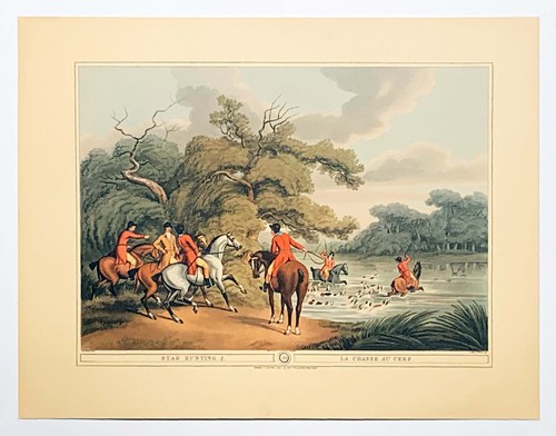 Orme collection stag - stag, hunting