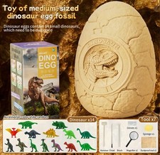 Dinosaur Egg Excavation Kit