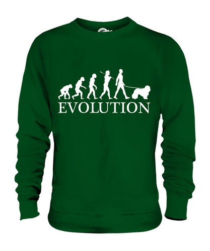 Komondor evolution man - komondor, of
