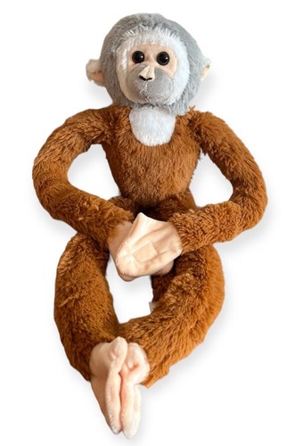 Gibbon monkey ape - gibbon,