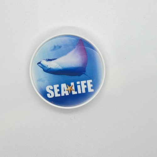 Sea life centre stinray - sea,