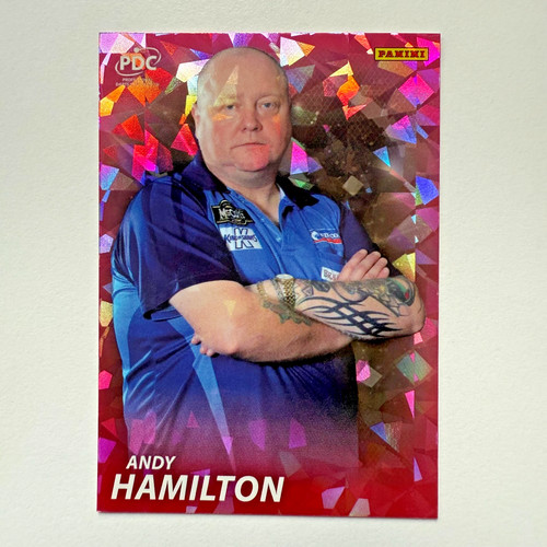 Panini pdc premier - premier, 2025
