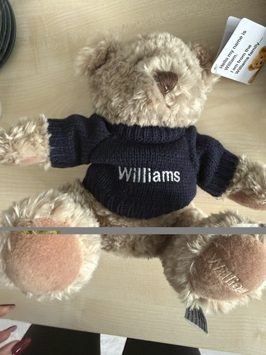 Official williams group bmw - williams,