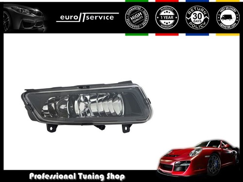 Halogen fog light - light, right