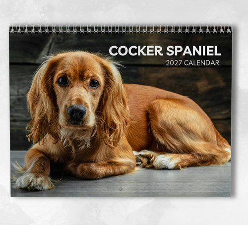 Cocker spaniel calendar - cocker,