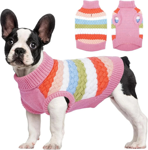 Small dog puppy - small,