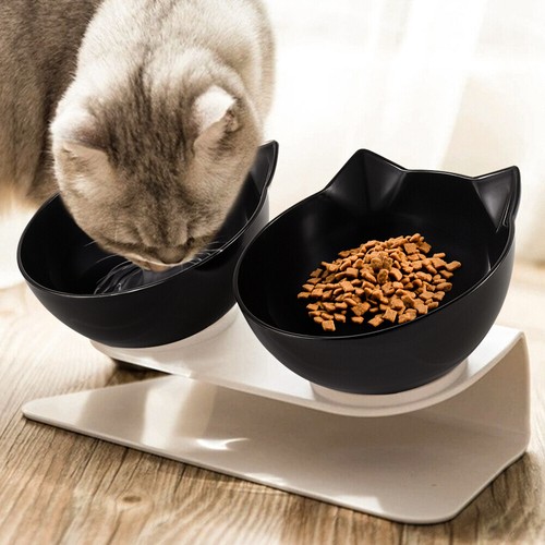 Double cat feeding - feeding, pet