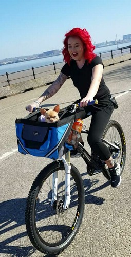 Colors pet cat dog bike - 3,