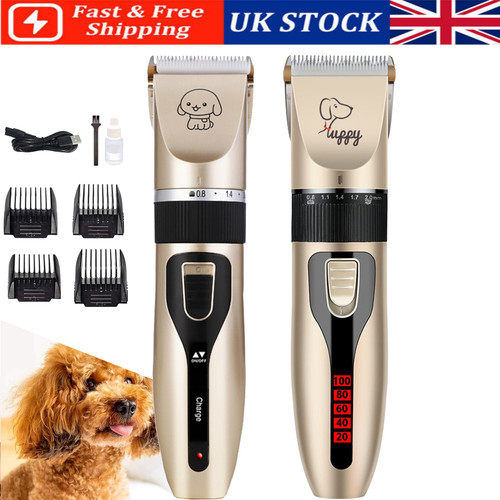 Pet dog grooming - dog,