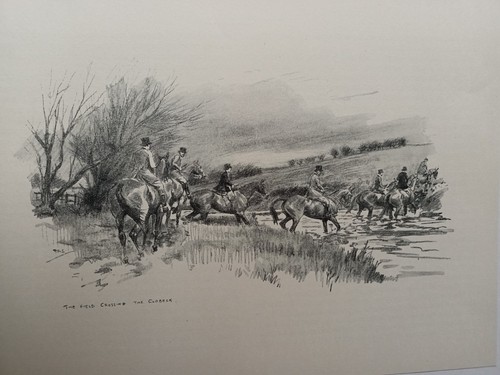 Zetland hunt stewart - zetland,