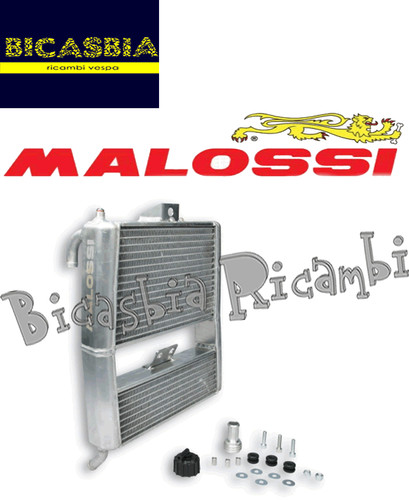 13165 malossi mhr team water - -,