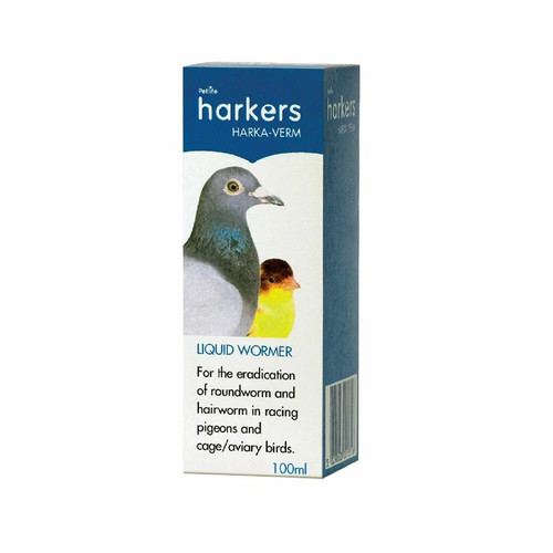 Pigeon racing exhibition - pigeon, &