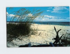 Postcard Beach Scene Florida USA
