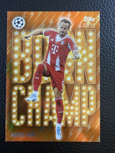 Harry kane born champ - 🌟harry,