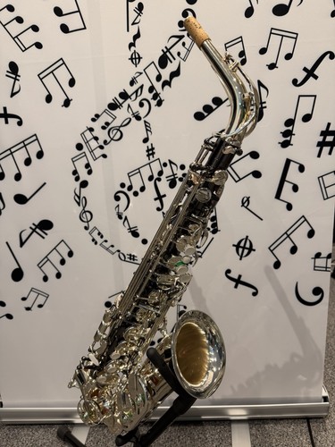 Temby alto saxophone black - alto, &