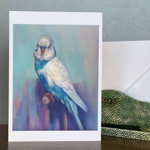 Blue and white budgie greeting - and,