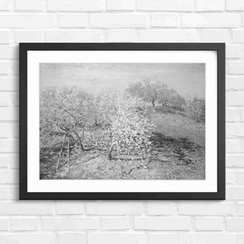 Blooming orchard trees spring - trees,