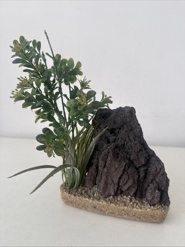 Rock planted marine reef - rock,