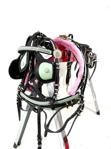 Biothane pony driving - pony, harness