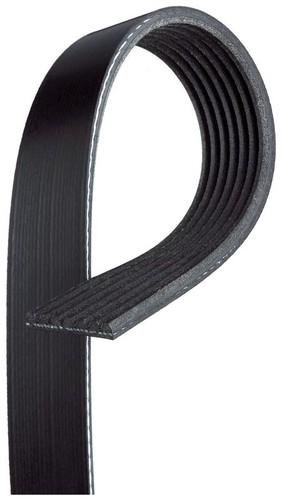 Ribbed belt 1610mm length - v-ribbed,