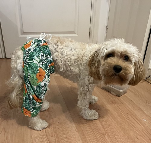 Tropical print green - , hawaiian