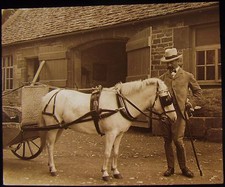 VICTORIAN Glass Magic Lantern Slide MAN WITH A PONY AND TRAP C1890 PHOTO 
