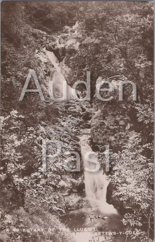Rppc tributary the - rppc,