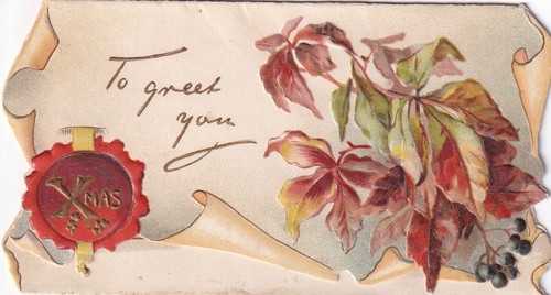 Virginia creeper seal - virginia, die
