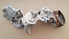 Damaged Tube Fuel System