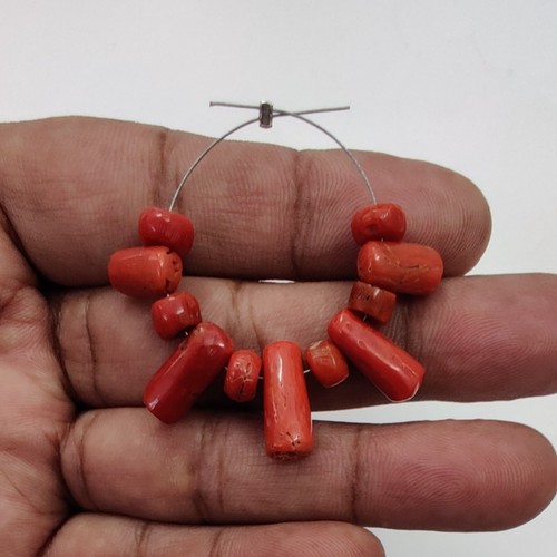 Natural italian red coral - italian,