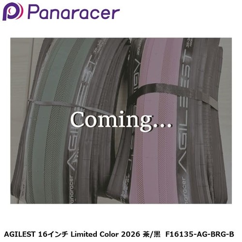 Panaracer agilest 16in tire - agilest,