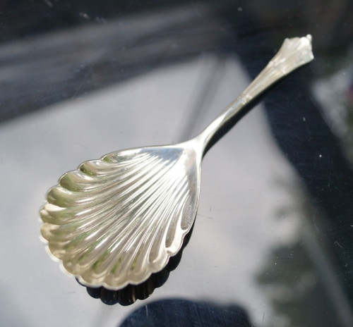 Edwardian silver caddy - caddy, spoon