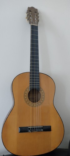 Acoustic guitar - acoustic,