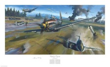 P-51D Mustang hero autographed