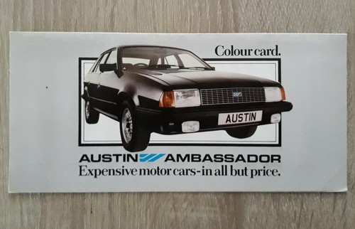 Austin ambassador body - austin,