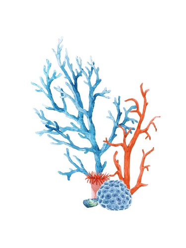 Coral reef watercolor - coral, poster