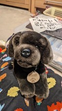 HARLEY Soft Plush Chocolate
