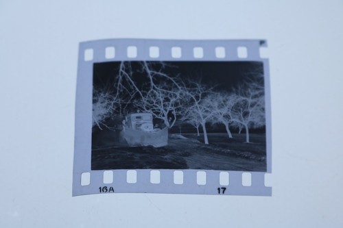 Great old negative - , vintage