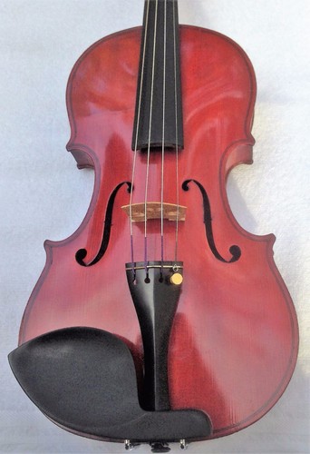 French violin with - french,