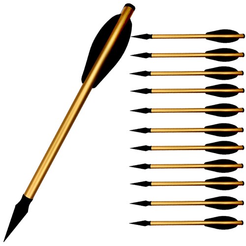 12pcs aluminum arrows - 6.3'',
