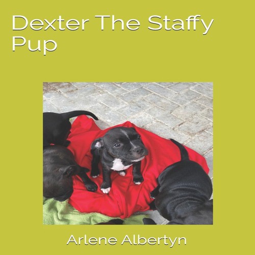 Dexter the staffy pup arlene - the,